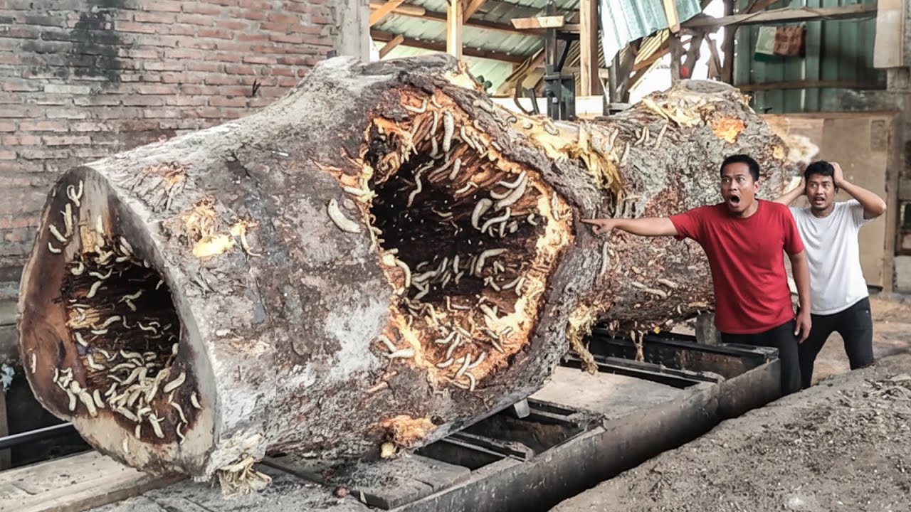 HORRIFYING MOMENT!! Giant Log Almost Crushes the Worker During Sawmill Operation
