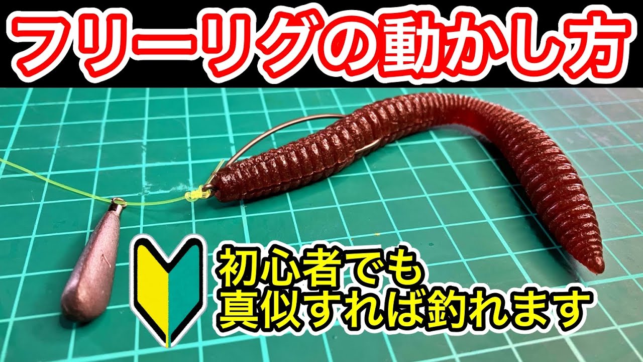 フリーリグの動かし方（セッティング、アクション、バイト率UPさせるコツ）