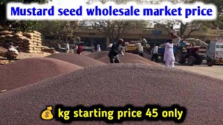  Mustard Available From 45 Rupees  Mustard Seed Wholesale Market Price mustard