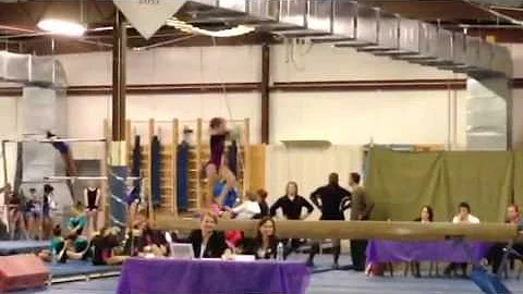 Mackenzie the Gymnast