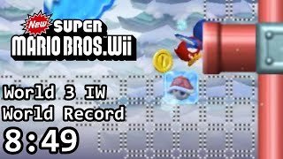 World 3 World Record Speedrun WITH SWITCH SKIP!