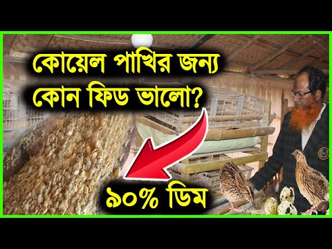 ভিডিও: কীভাবে কোয়েল খাওয়াবেন