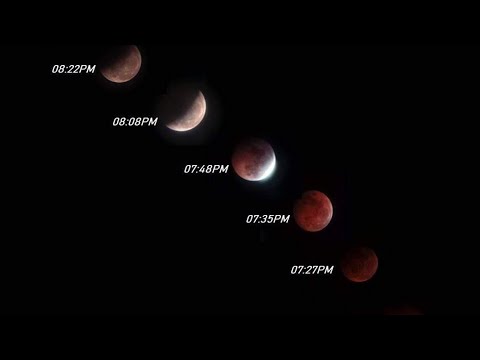The November 8 2022 Total Lunar Eclipse Timelapse Sequence (Short Video).