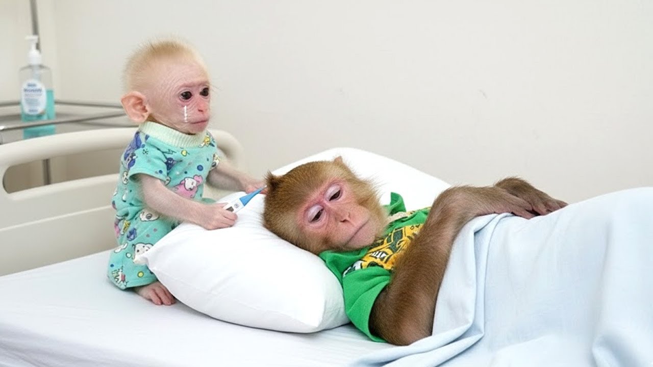 LaLa Notices Bibi Is Tired and Calls Mom, Then Asks for a Bath Because She Feels Itchy