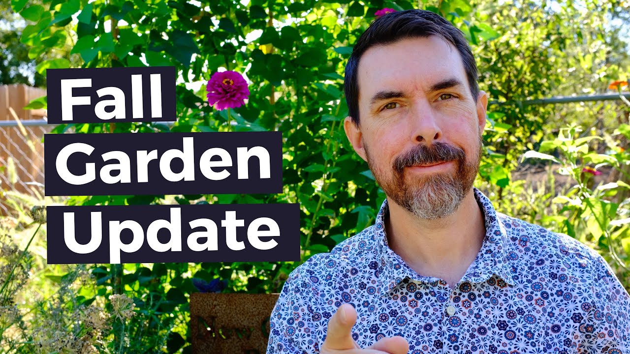 CENTRAL TEXAS FALL GARDENING UPDATE YouTube