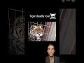 #tiger #voice #horror #mostviral
