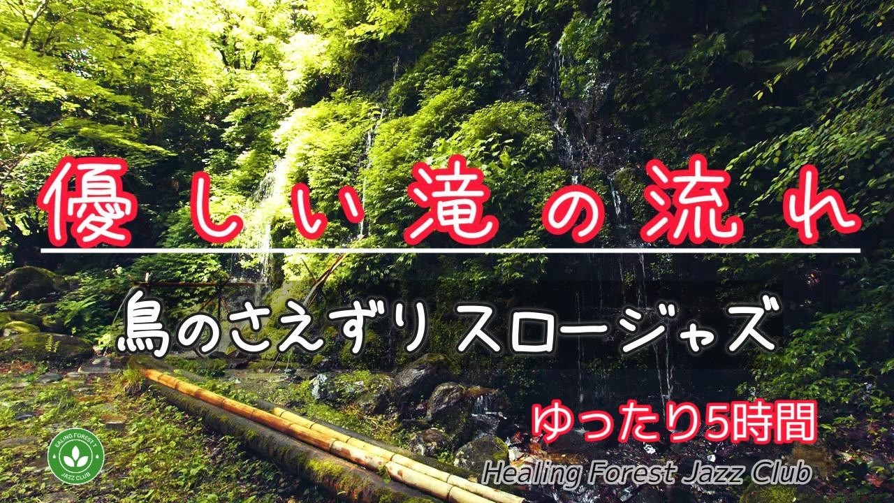 【ゆったり5時間】癒しの森でリラックス ＃568α / 優しい滝の流れ / 鳥のさえずり / スロージャズ / 癒しBGM