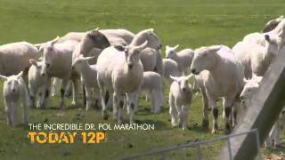The Incredible Dr  Pol Christmas Day Marathon