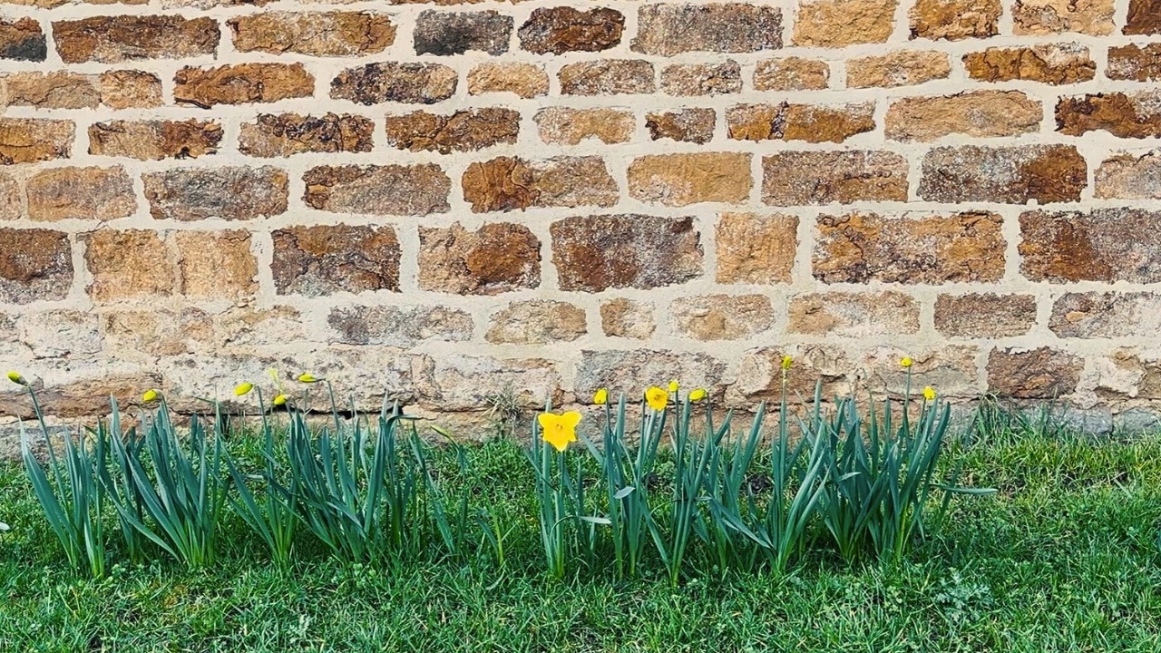 Feels like Spring in my English Village