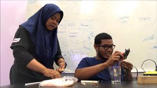 LAX2019 DIY Project Video 1 group10 (2017)