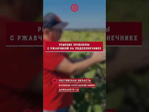 🌻 НЕТ-Ржавчине на