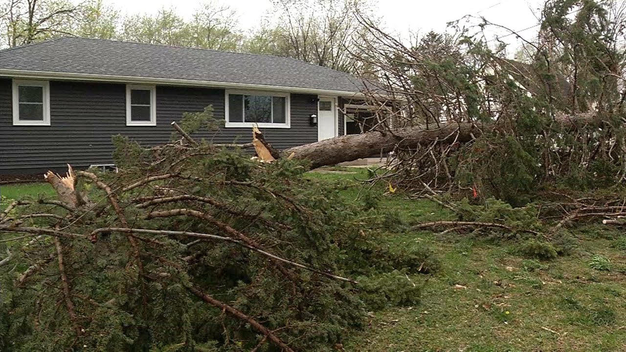 Powerful Twin Cities Storms Knock Out Power, Down Trees in Crystal