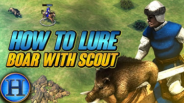 How To Lure a Boar With Scout Tutorial | AoE2