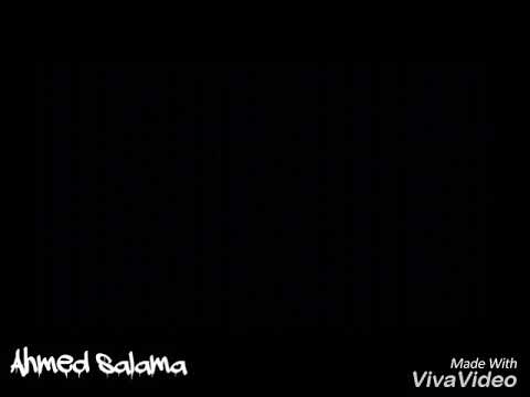 كلمات اغنية مش باقي احمد السويسي