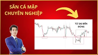 Săn cá mập forex kiếm tiền hàng ngày | Những lỗi sai và mẫu hình đúng