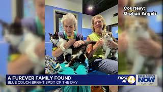 Blue Couch Bright Spot of the Day: A Furever Family Found