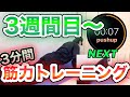 【初級】-第2STEP腕立てメニュー