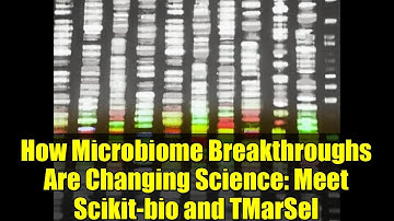 How Microbiome Breakthroughs Are Changing Science: Meet Scikit-bio and TMarSel
