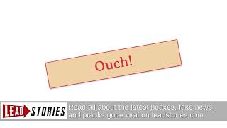 Fact Check: Bee Sting To Penis CANNOT Permanently Enlarge It -- Post Is From A Humor Site