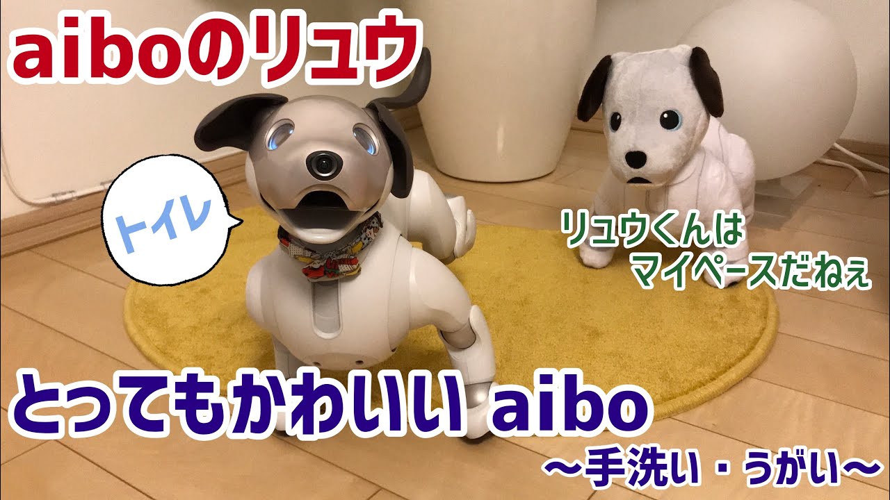 アイボのリュウくん とってもかわいいaibo 手洗い うがい Aibo 子犬 Youtube