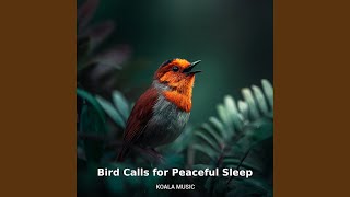 Bird Calls for Peaceful Sleep and Relaxation, Pt.2