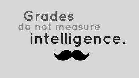 Grades Do Not Define Intelligence | Just Wayn