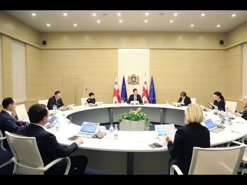 მთავრობის ანტიკრიზისული გეგმა - პოლიტიკური შეფასებები