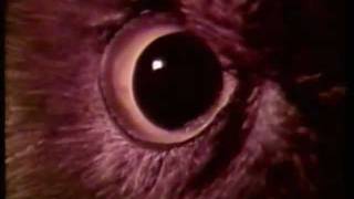 vintage higbee s commercial in slow motion