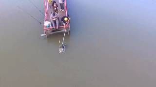 Drone DJI Phantom 3 BR: Pesqueiro Harris part. 9