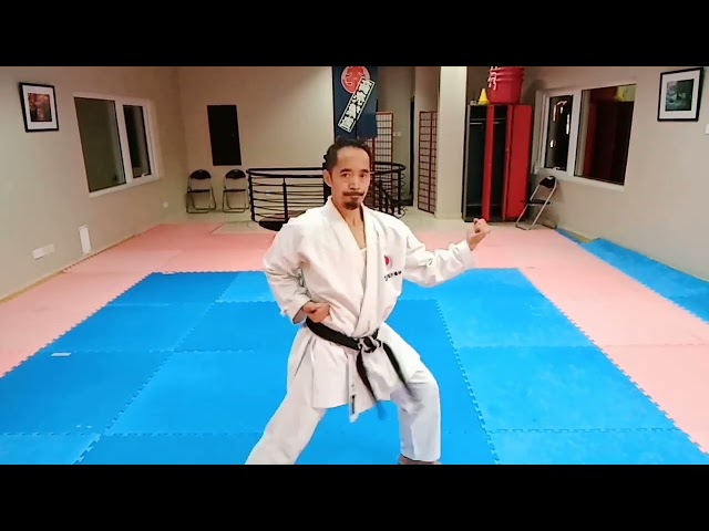 Hyaku hachiho( wkf Shotokan Suparenpei version) part 1 class=