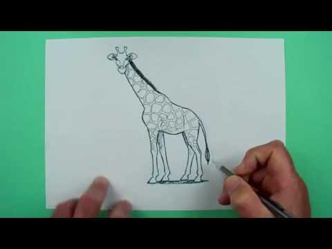 Wie zeichnet man eine Giraffe? Zeichnen für Kinder