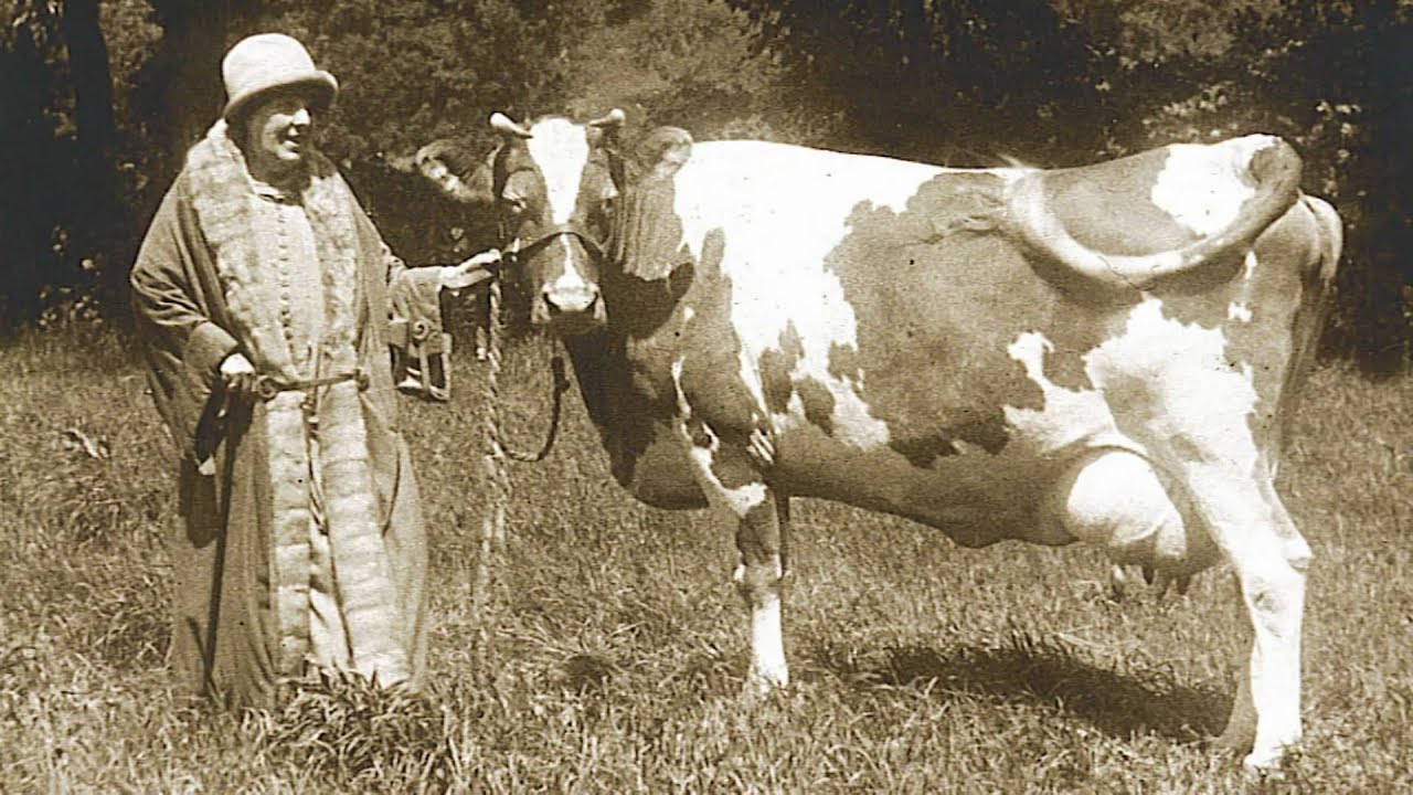 CPBN Media Lab: Outdoor Enthusiast.  Hill-Stead Museum