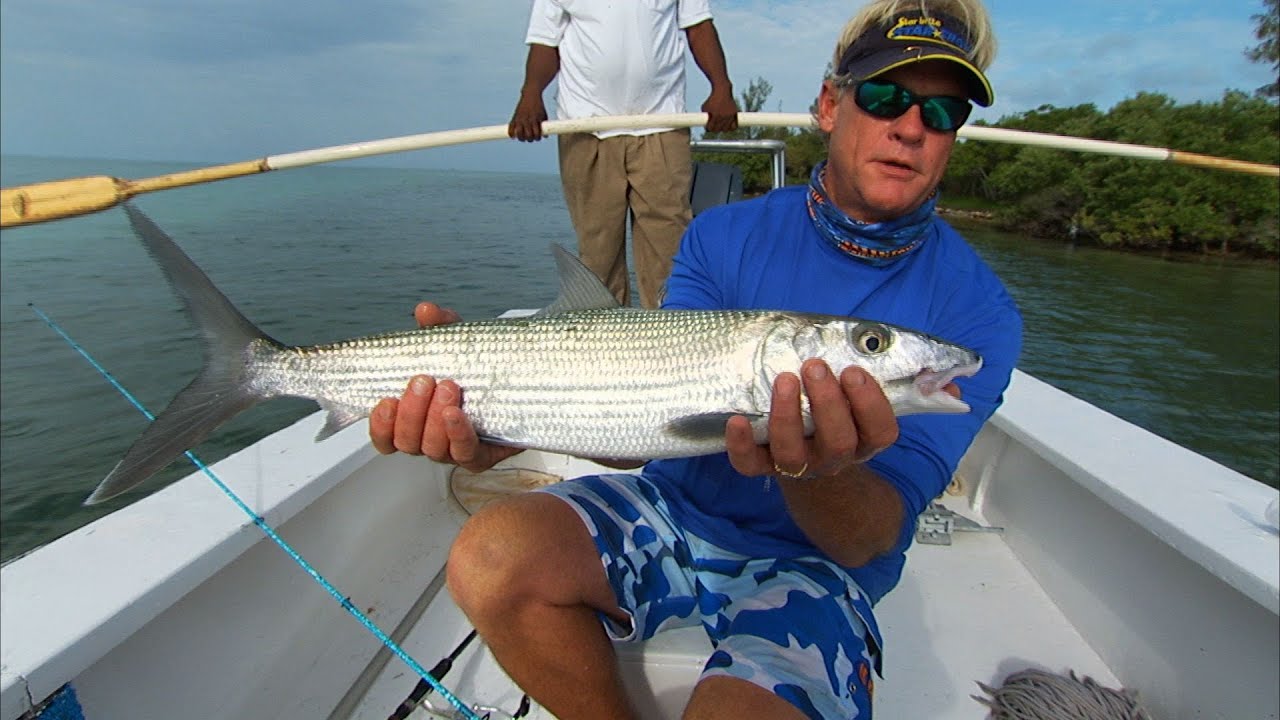 Bimini Bonefish Fishing the Flats in the Bahamas YouTube