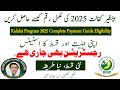 BISP Kafalat Program 2025 Complete Payment Guide Eligibility and Status Check | BISP Updates in May