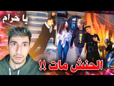 تطورات الحنش مع صاحبته الجديدة 