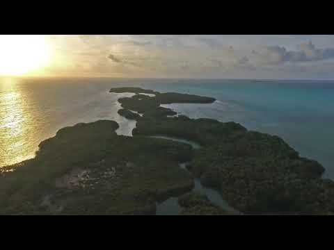 Video De La Isla Cayo Culebra (Q. Roo)