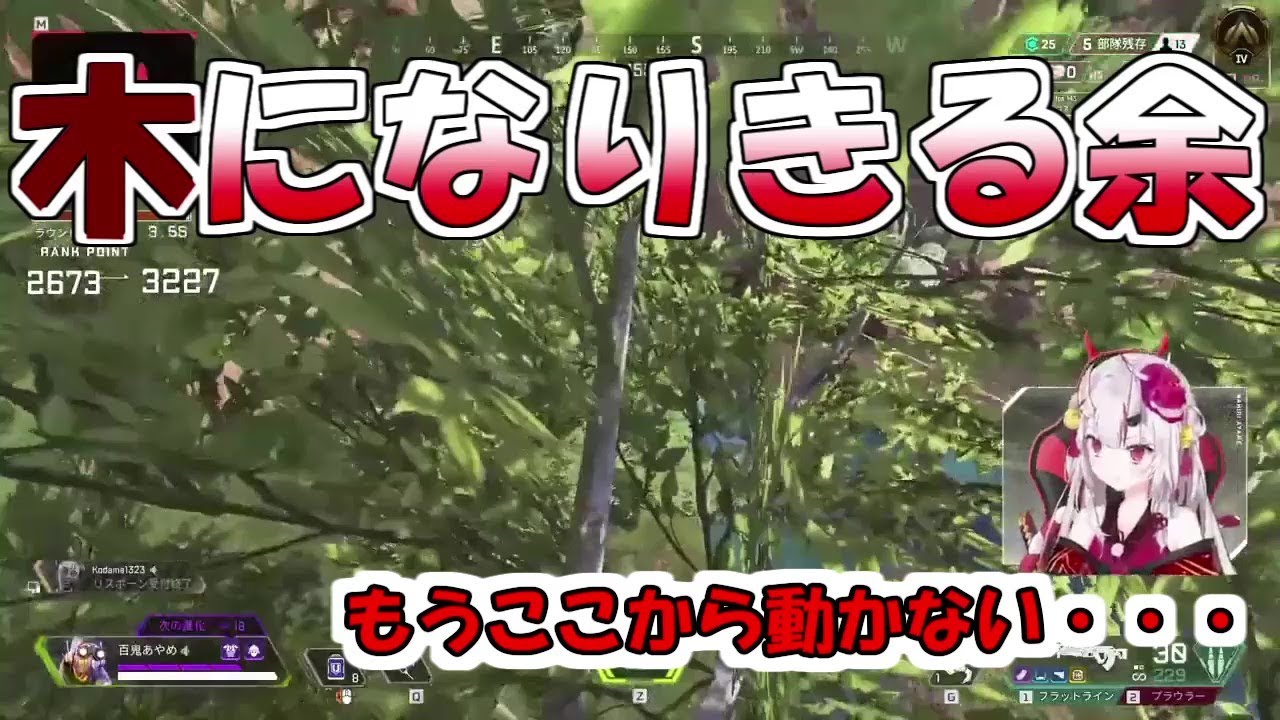 木になりきるあやめ嬢【百鬼あやめ/ホロライブ】