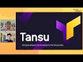 Stellar Developer Meeting: Developer Spotlight w/Tupui