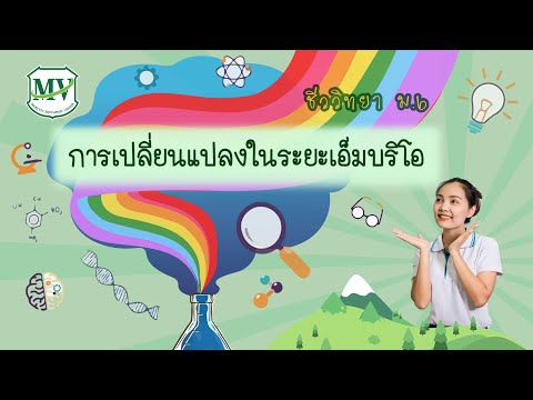 วีดีโอ: ระยะบลาสทูล่าในมนุษย์ชื่ออะไร?