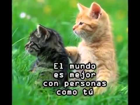 Doy gracias a Dios por tu amistad - YouTube