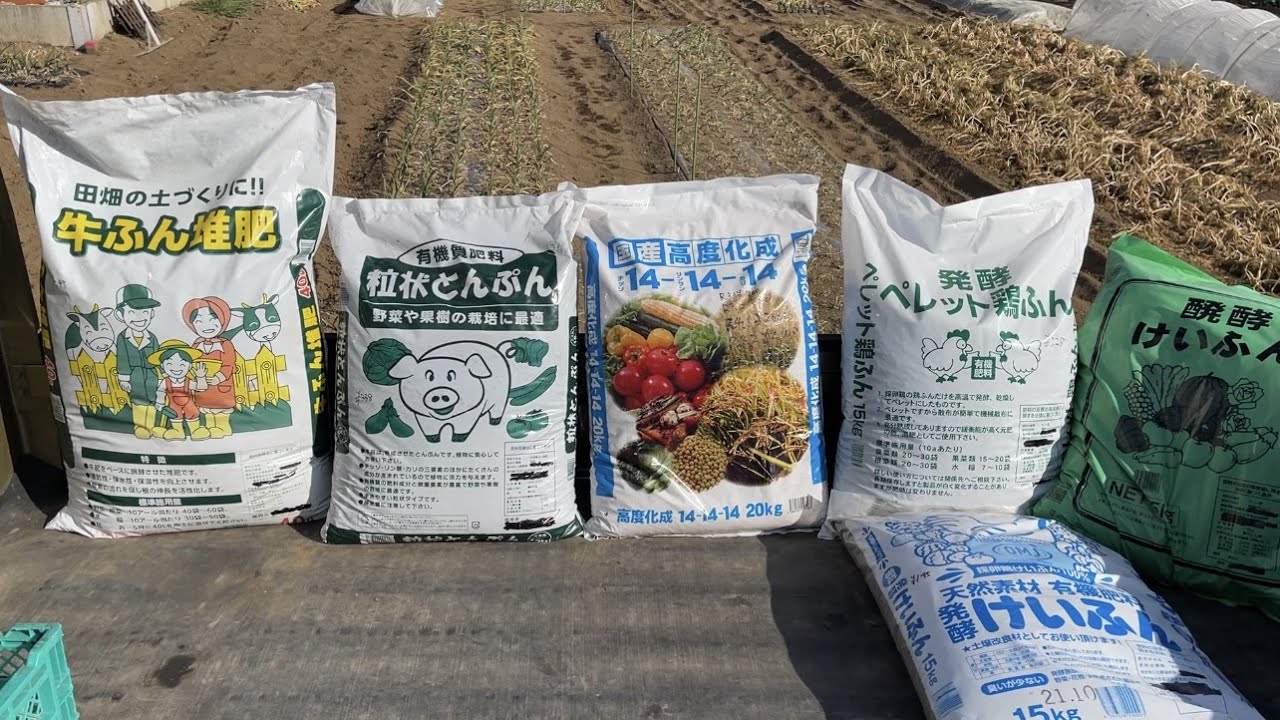 The crisis of Japanese agriculture: 