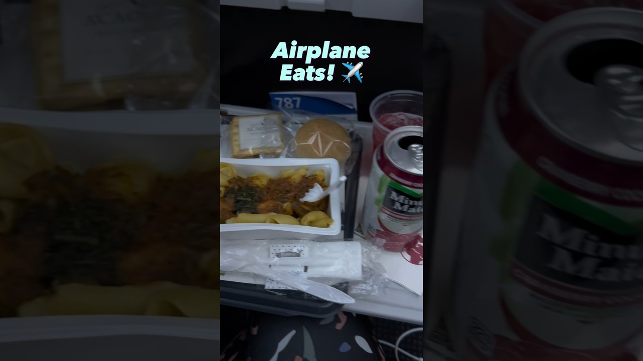 American Airlines Flight - Miami to Barcelona June 2023 ✈️🍽️