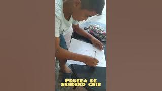 APLICACIÓN PRUEBA ENFEN