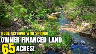 Large 65 Acre Tract  w/ SPRING for only $1,500 Down - Owner Financed Land for Sale