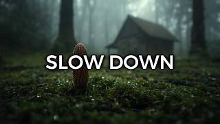 SLOW DOWN Peaceful Guitar for Stress Relief, work and study  🌳 Golden Hush Sessions