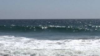 Zuma Beach April 19 2015  Whale U0026 Shark Sighting