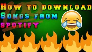 How to download music from Spotify on mobile 2020 screenshot 5