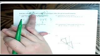 Translations Homework Help