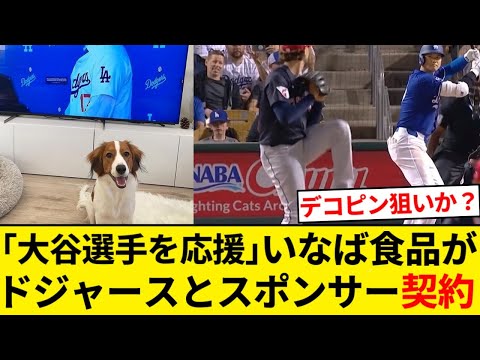 「大谷選手を応援」 いなば食品がドジャースとスポンサー契約【5chまとめ】【なんJまとめ】