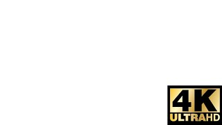 literally nothing for 1 minute - 4K UHD